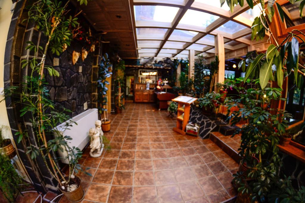 Pension Restaurant Speranta Predeal Ngoại thất bức ảnh